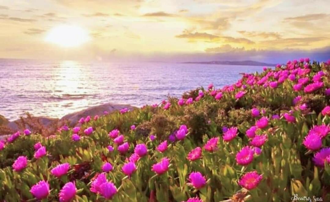 Pension Fercomar Sanxenxo Dış mekan fotoğraf